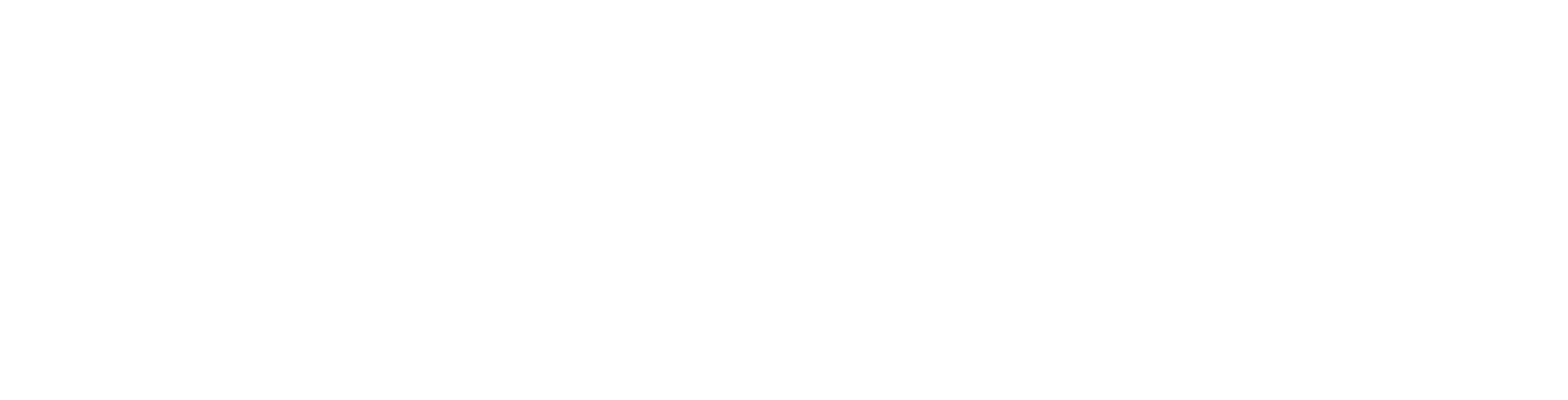 LeveragedSalesCentral_Logo_NoTagline_White